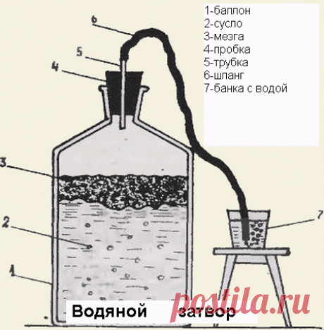 Виноградное вино в домашних условиях – универсальный рецепт