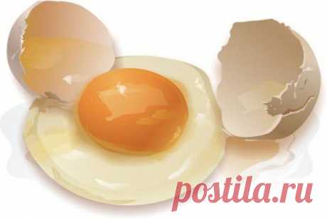 Яйца не только еда, а и лекарство | ПолонСил.ру - социальная сеть здоровья