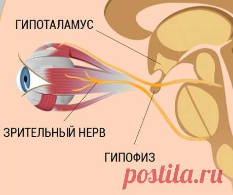 8 шагов к улучшению и восстановлению зрения