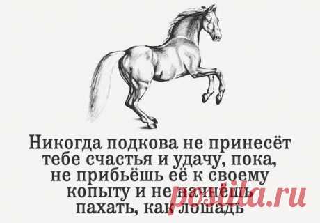 Юмор о работе и о тех кто пашет как лошадь: анекдоты, веселые картинки