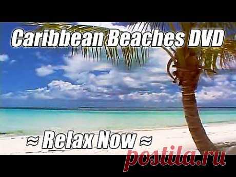 CARIBBEAN BEACHES + HAWAIIAN DREAMS by WAVES DVD Nature Sounds #1 Ocean Relax Videos - YouTube