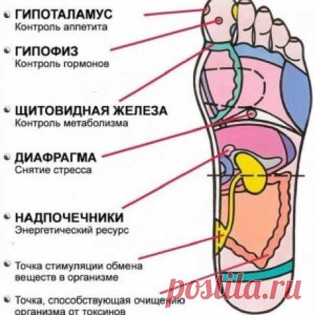 7 АКТИВНЫХ ТОЧЕК НА СТОПЕ ВЕРНУТ ТЕБЯ К ЖИЗНИ ЗА ПАРУ МИНУТ!