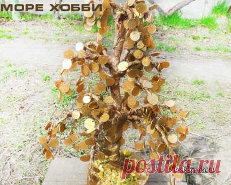 Денежное дерево из монет своими руками, мк с пошаговыми фото | Море хобби - мастер-классы по рукоделию и не только!