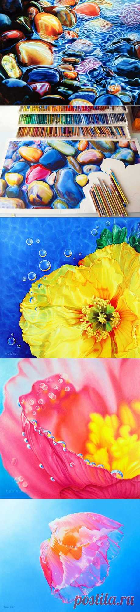 Картины, которые хочется потрогать (ФОТО). Американская художница Эстер Рой рисует при помощи цветных карандашей и воска невероятно реалистичные картины.