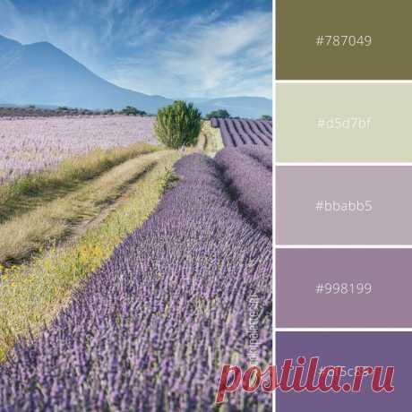Сочетание фиолетового и зеленого. Пастельные оттенки для акцентов или основной палитры гостиной. #вдохновениецветом #природнаяпалитра #лаванда #сочетаниецветов #colorinspiration #Lavender #naturepalette #colorpalette