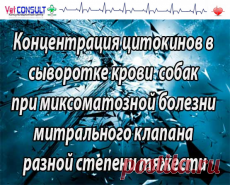 Концентрация цитокинов в сыворотке крови  собак при миксоматозной болезни митрального клапана разной степени тяжести