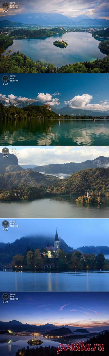 (+1) тема - Бледское озеро - природная достопримечательность Словении (ФОТО) | САМЫЙ СОК!