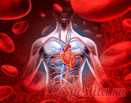 Как избавиться от плохого кровообращения всего за 20 минут! - Упражнения и похудение 9 самых эффективных способов! Современный образ жизни, привел к резкому увеличению людей, страдающих от плохого кровообращения. Поскольку большинство из нас проводят каждую свободную минуту перед телевизором или ноутбуком, это не удивительно, что циркуляция крови является одним из первых пострадавших сегментов неактивного образа жизни. Другой распространенной причиной является несбалансиро...