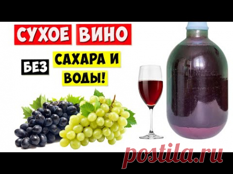 СУХОЕ ВИНО из ВИНОГРАДА без Сахара и Воды / Простой Рецепт!