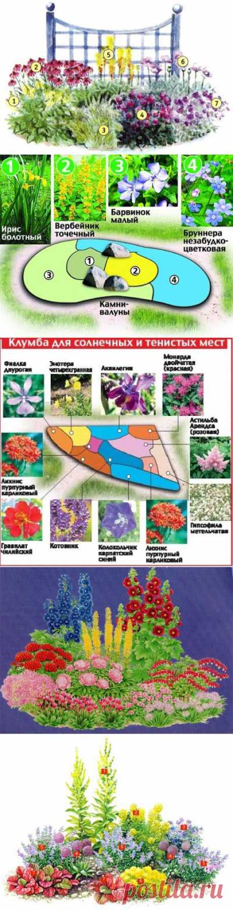 (+1) - Красивая композиция для дачи в насыщенных тонах | 6 соток