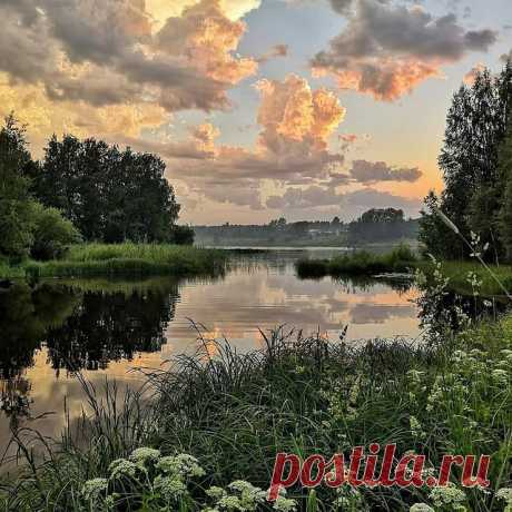 Добрый день, друзья! Листайте 👉⠀
🌾🌻🌿🌼🌱  ️Представляем вам подборку красивых фотографий из нашего основного паблика ▶️ @natureofrussia.ru Какое фото вам нравится больше всего? 1,2,3...10?⠀ ⠀
⠀
⭕ Подпишись ▶ @natureofrussia.ru ⠀
⠀
Благодарим авторов. Фотографии в карусели по порядку : 
1) Красивое небо. Автор @26galinapavlova1085
2) В черничном лесу. Автор @levina6047
3) Деревенский вечер. Автор @cat___unicorn
4) Упасть в цветы и замереть... Автор @askokuittinen
5) Тум...