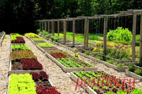Дача сад огород своими руками (156 фото) - фото - картинки и рисунки: скачать бесплатно