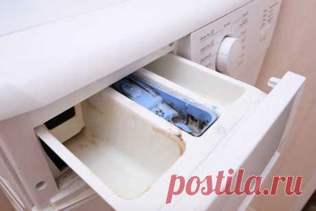 Чем почистить лоток стиральной машинки от стирального порошка и загрязнений