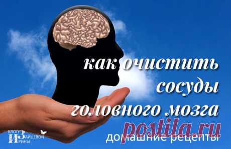 Как очистить сосуды головного мозга. Мощные рецепты народной медицины! | KaifZona.Ru