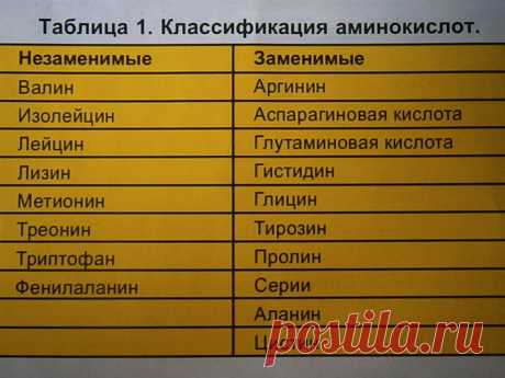 Интересные факты о аминокислотах Женский портал: гороскопы, новости звезд, отношения, мода