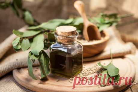 Девять полезных альтернатив оливковому маслу