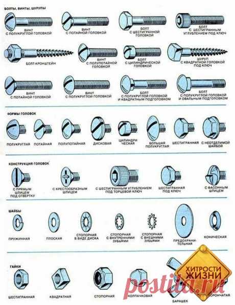 Памятка по гвоздям, болтам и саморезам