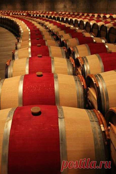 jakeindy:
“Opus One Barrel Room
Photo: Far Enough
”
