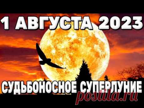 СУДЬБОНОСНОЕ СУПЕРЛУНИЕ 1 августа 2023 года! Карина Таро @karina_taro