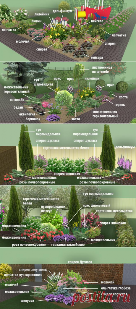 Клумбы непрерывного цветения – схемы с описанием цветов