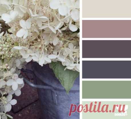 design seeds | flora tones | for all who ♥ color