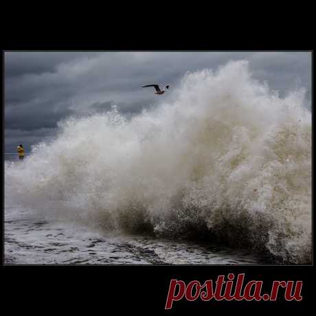 Фотографія Про шторм.. / Дмитрий Домбровский / photographers.ua