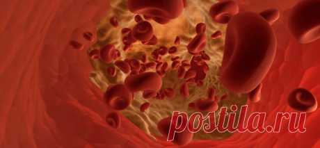 Диета по группе крови 1 - положительной и отрицательной для похудения: отзывы, меню, рецепты и результат