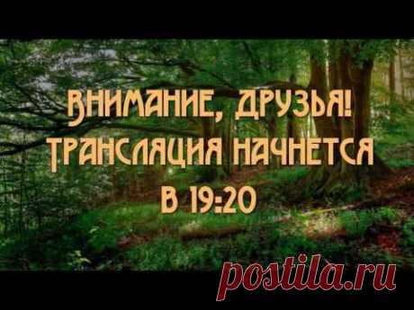 Бесплатный онлайн семинар "Оздоравливаем эндокринную систему" 23 августа в 19 часов