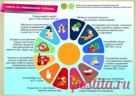 Советы по правильному питанию