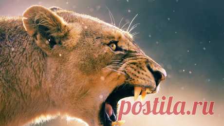 С этими четырьмя знаками зодиака очень непросто.🚀