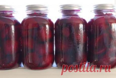 Свекла на зиму: рецепты от Шефмаркет