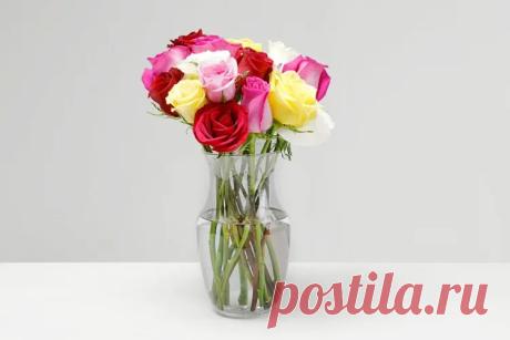 Практичная памятка ProFlowers: подрезать стебли, убрать листья из воды, менять воду и держать букет в прохладе, чтобы цветы дольше оставались свежими.