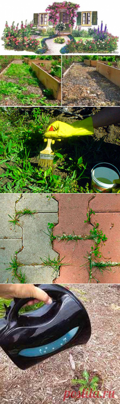 Как уничтожить сорняки без химии