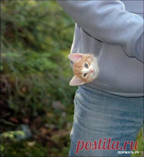 Фотоприколы, юмор смешные случаи и картинки.