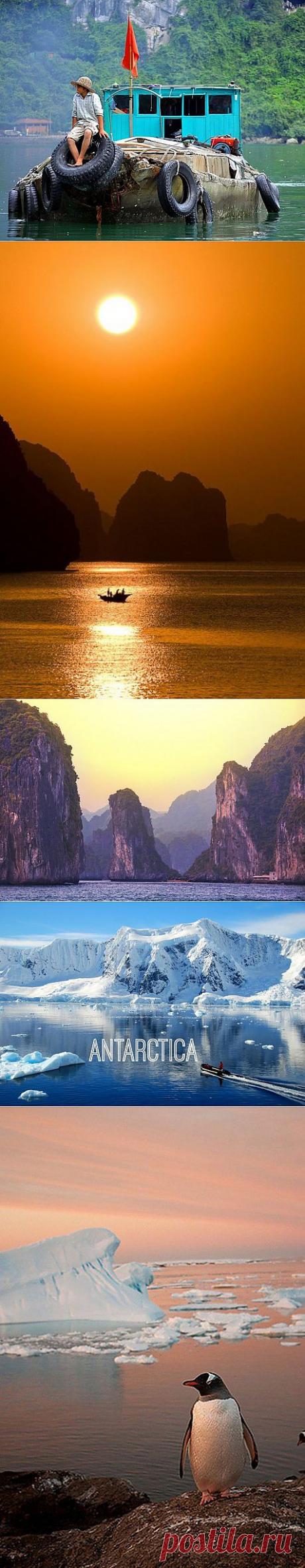 (+1) тема - Удивительные побережья со всего мира | Среда обитания