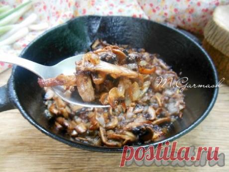 Жареные шампиньоны с луком - 8 пошаговых фото в рецепте