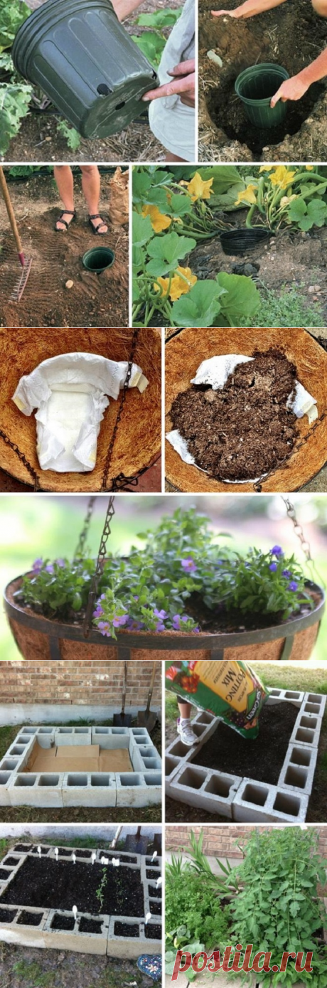 Памперс нужен каждому дачнику! Ты удивишься, но это очень важно…