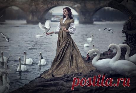 • В видимой красоте нас восхищает невидимое.
~ Мария фон Эбнер-Эшенбах
#обитель_серое #обитель_природа