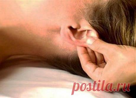 Мед и калина восстановят слух - Шум в ушах - Каталог статей - Нарушение слуха