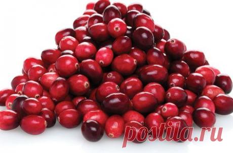 Соусы к мясу из брусники: несколько способов приготовления - FB.ru