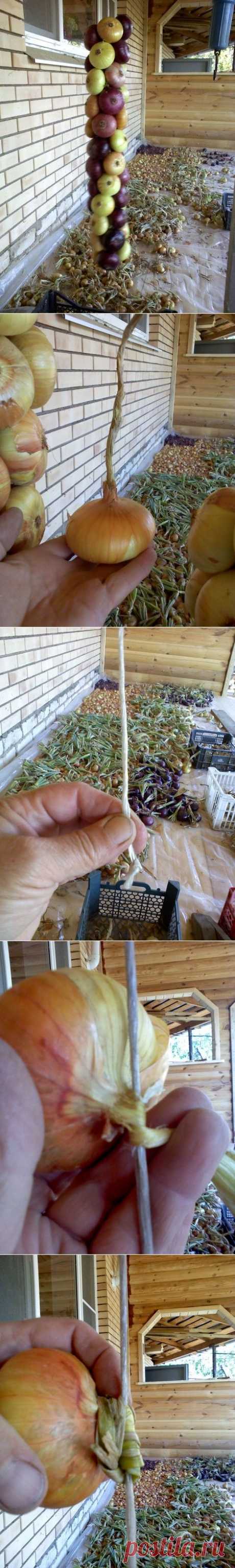 МК "ПЛЕТЕМ КОСУ ИЗ ЛУКА" | Самоцветик