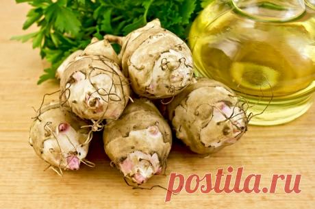 Топинамбур (земляная груша): польза и вред для человека, как использовать, рецепты приготовления, фото, видео