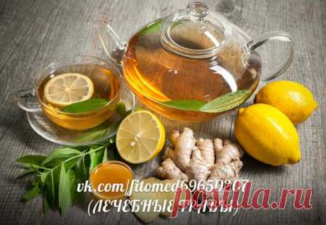 ЛЕЧЕБНЫЕ ТРАВЫ- Лечение народной медициной | ЗОЖ