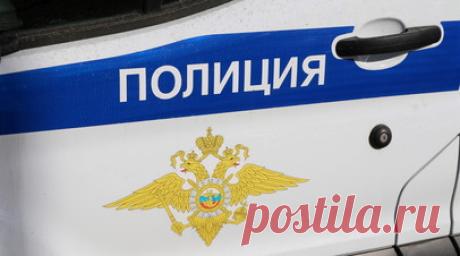 Под Тюменью женщина с восемью собаками в салоне авто насмерть сбила пенсионера. Смертельное ДТП произошло на трассе Тюмень — Боровский — Богандинский. Женщина за рулём Fiat Ducato сбила 85-летнего пенсионера. От полученных травм он скончался на месте. Читать далее