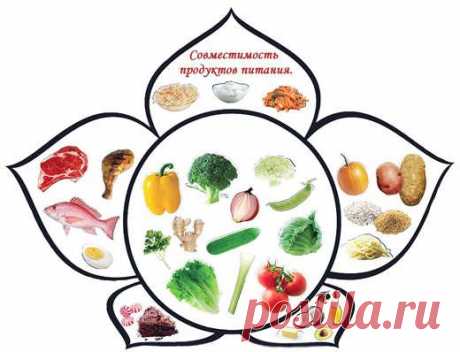 Таблица совместимости продуктов для системы раздельного питания