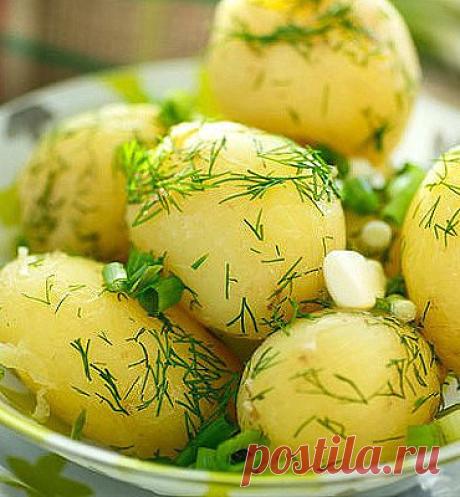 Хочется расцеловать человека, который придумал такое совершенное вкусовое сочетание: укроп + чеснок + картофель!