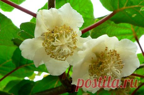 ВСЕ по ТЕМІ: Дом