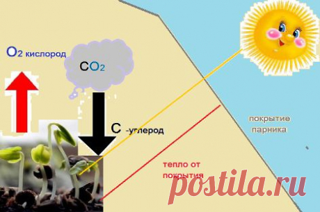 Парники | Обустройство дома