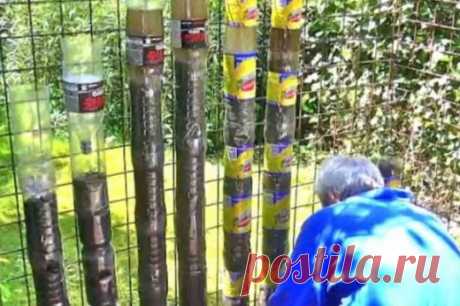 У Сергея было 5 соток земли и большое количество пластиковых бутылок… Увидев его огород, соседи ахнули!
Как замечательно иметь собственный садовый участок. И желательно недалеко от дома. Он служит стабильным источником экологически чистых продуктов, которые можно получить за небольшую сумму денег. Но …