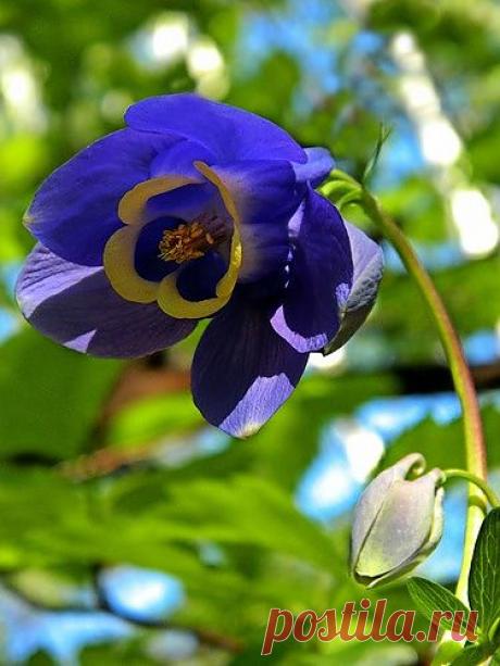 Тараторка — «просто весна» на Яндекс.Фотках